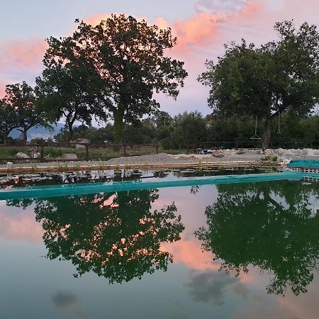 Вилла Agriturismo Albero Del Miele San Rufo Экстерьер фото