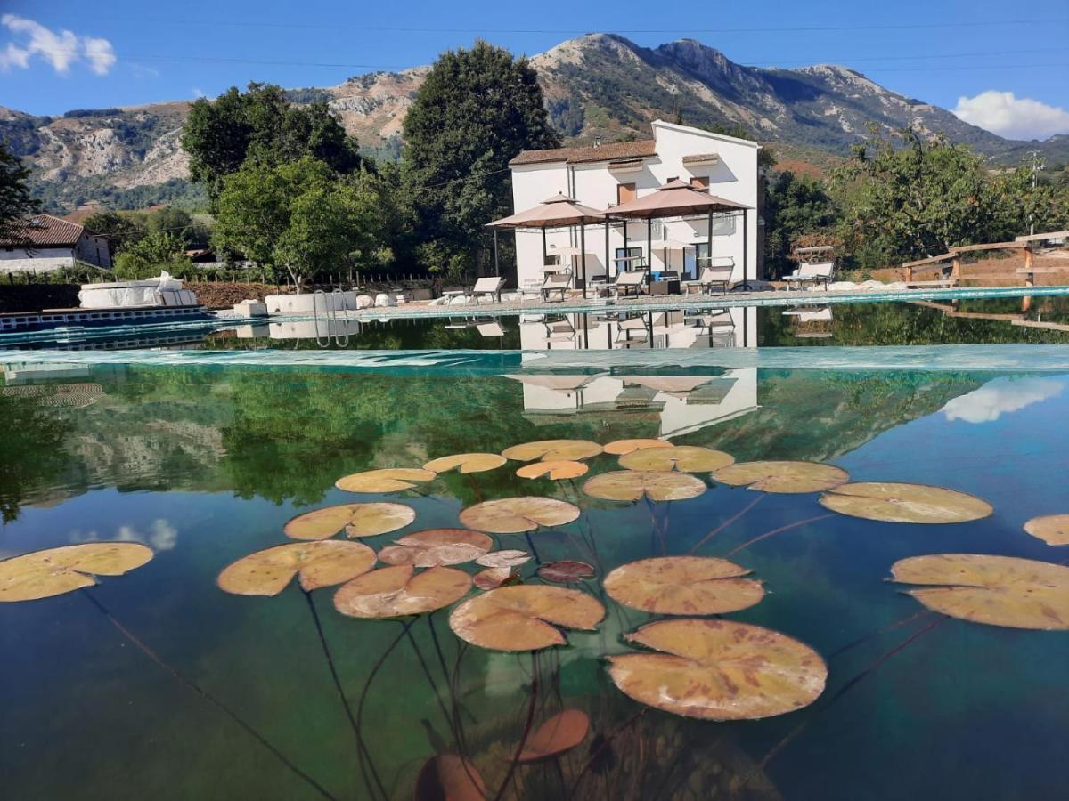 Вилла Agriturismo Albero Del Miele San Rufo Экстерьер фото